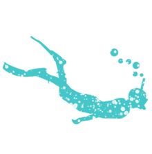 snork